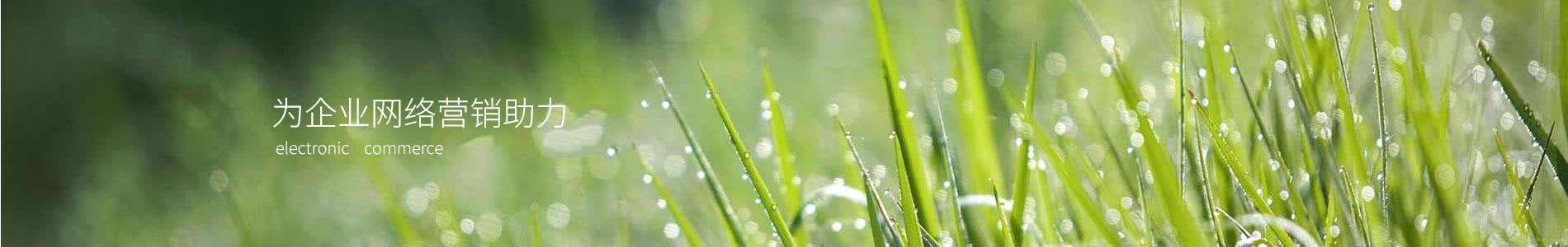 ӱũҹ޹˾